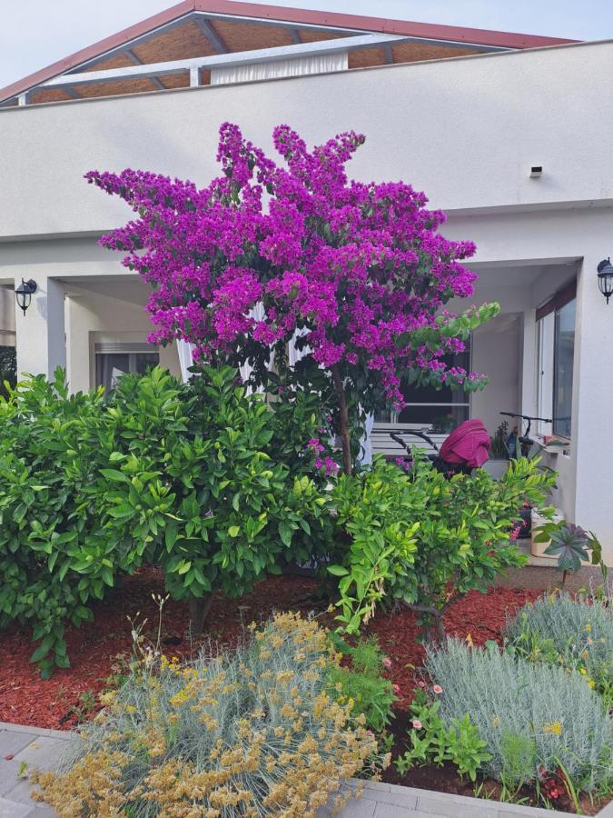 Apartment Noa'S Garden Bibinje Exteriör bild